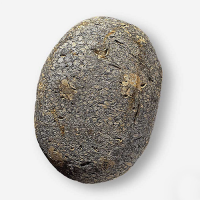 Ciottolo_200_200.png Ciottolo_200_200.png