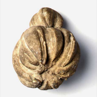 Concrezionecalcarea_copia_200_200.png Concrezionecalcarea_copia_200_200.png