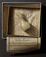 Sabbiafrasassi_200_200.png Sabbiafrasassi_200_200.png