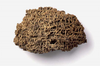 Travertino_200_200.png Travertino_200_200.png