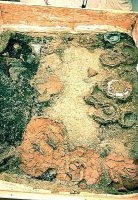 noti1518_200_200.png noti1518_200_200.png